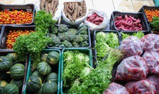 Horta em casa ajuda a garantir alimentos frescos e reforça a segurança alimentar